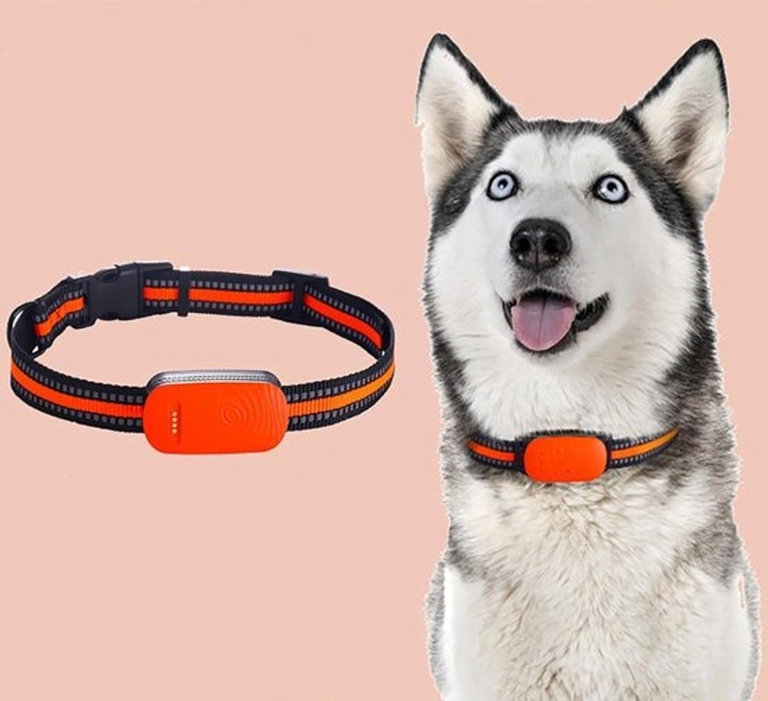 Dier GPS Tracker - Huisdier Locator - Veiligheid Thuis - Real-time Locatie - 900 mAh Batterij - Zwart