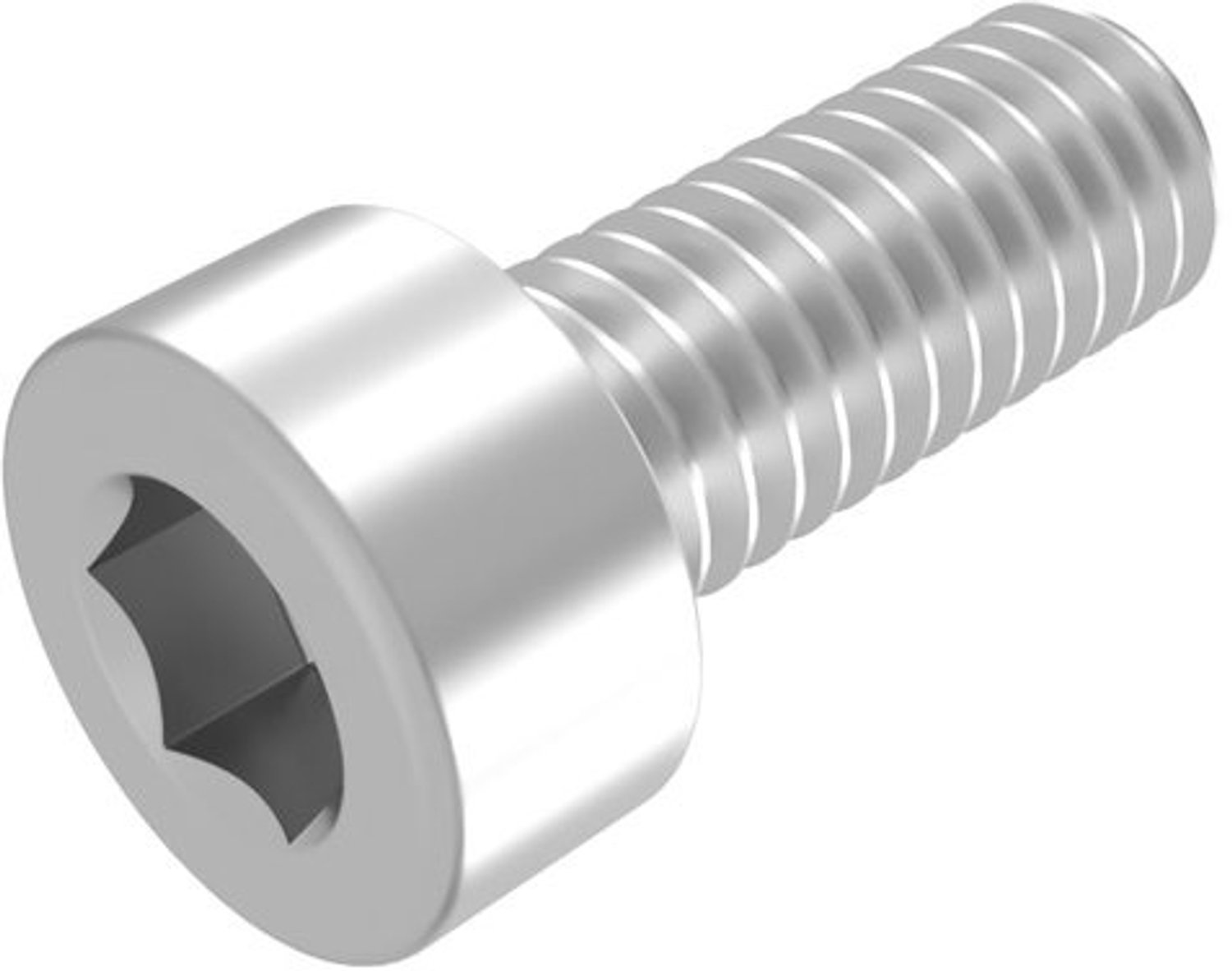 Cilinderschroef M10 - Binnenzeskant Schroef - Bevestigen van Onderdelen - Roestvrij Staal V2A - 80 mm Lengte - Zilver