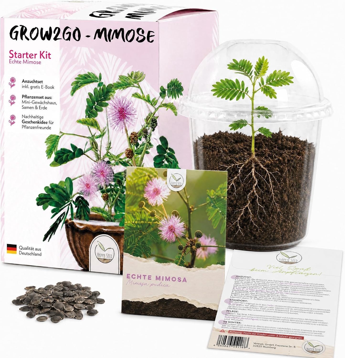 Kweekset voor Mimosa Pudica - Groen - Mini-groeikas met Zaden en Aarde - Duurzaam Cadeau voor Plantenliefhebbers