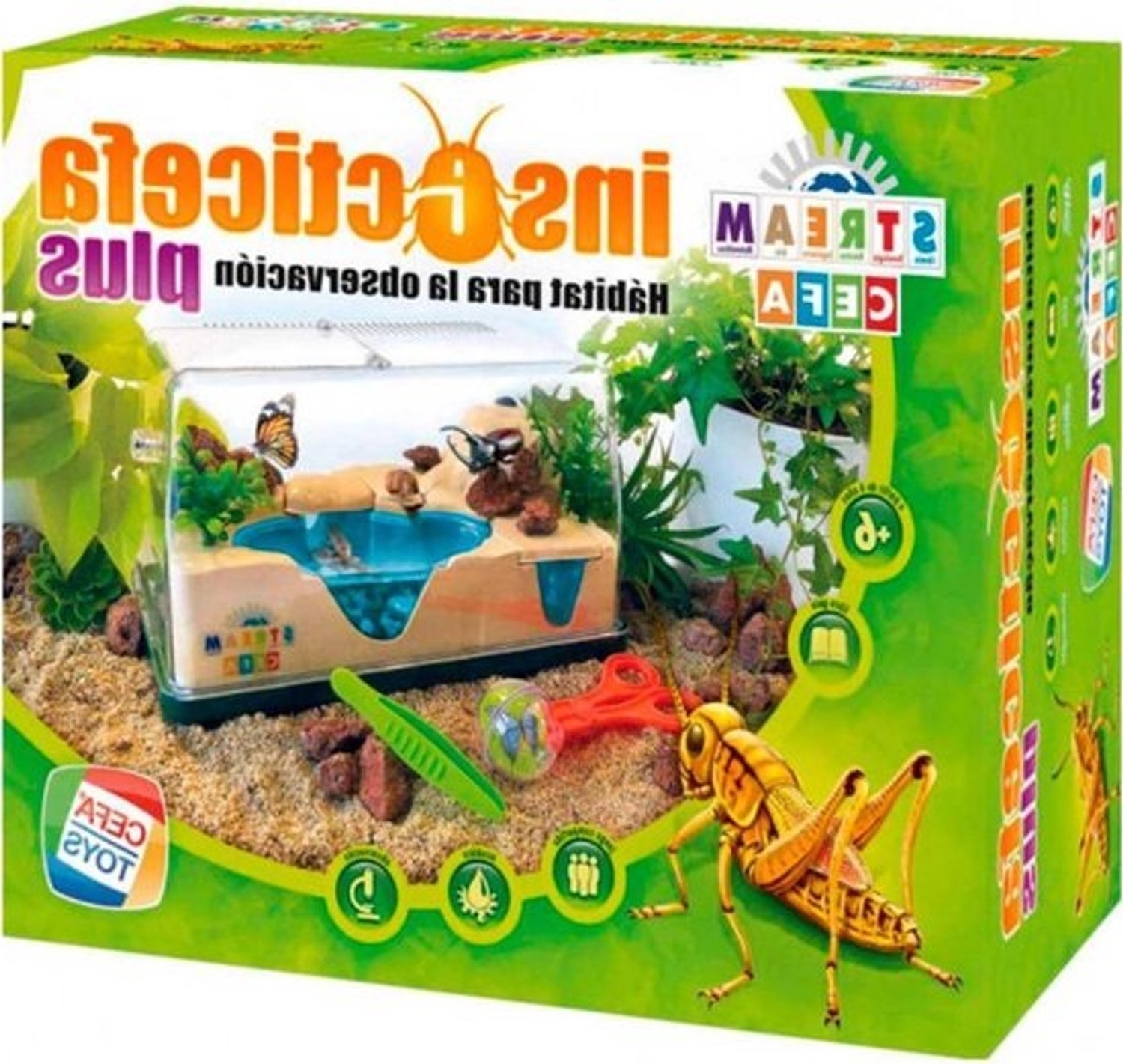 Insectenhabitat - Observatieterrarium - Insecten bestuderen - 360 graden zicht - Small - Niet gespecificeerd