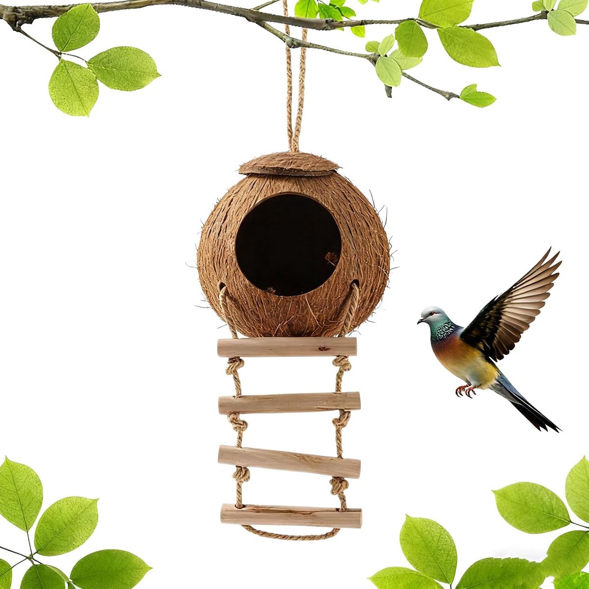 Vogelnest van kokosnootschaal, handgemaakt met ladder