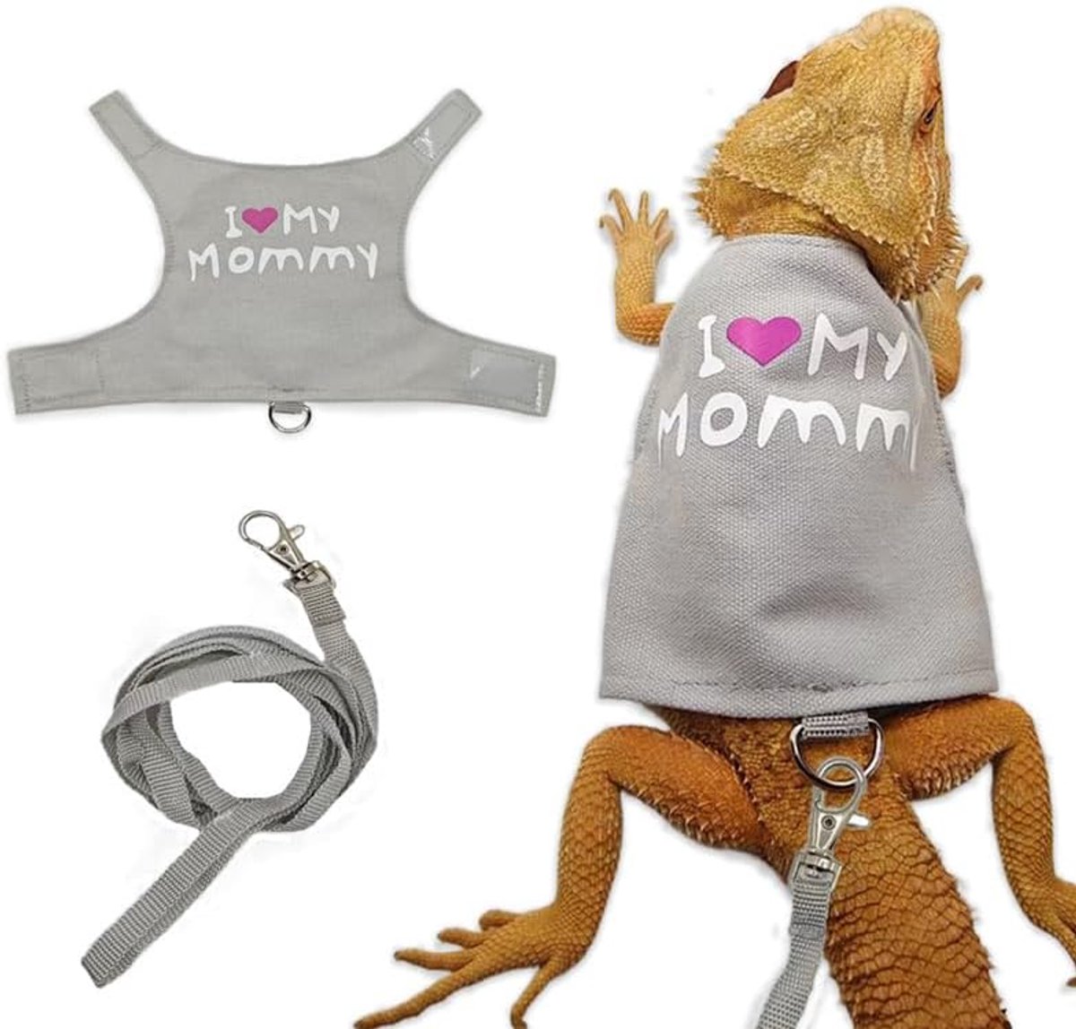 Dragon riem en harnas verstelbaar - bebaarde draak riem en harnas set met hagedis lichtgevende riem voor amfibieën kameleons kleine huisdieren dieren buiten veiligheid wandelen (grijs)