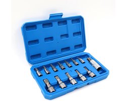 Torx Bit Set van 13 Stuks voor Sterbouten - T8 T10 T15 T20 T25 T27 T30 T40 T45 T55 T70 - Geschikt voor 1/4, 3/8 en 1/2 Inch - Duurzaam CR-V en S2 Legeringsstaal