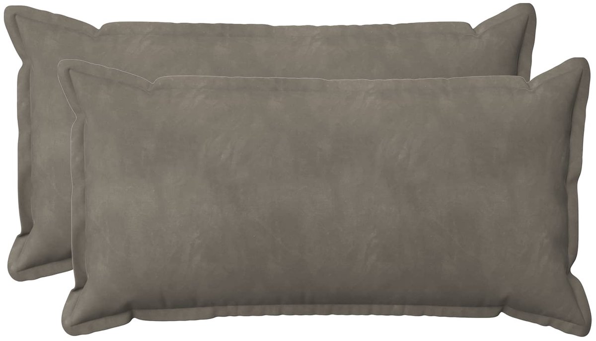 vidaXL Dekenkussen - 2 - st - HOUTEN - Lichtgrijs - 40 - x - 80 - cm - fluweel 40 x 80 cm