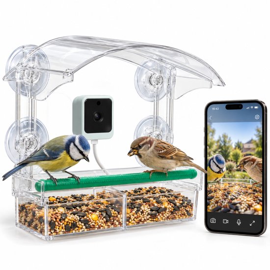 Vogelhuisje met camera, met pimpelmees en huismus. Telefoon toont livebeeld van de vogels.