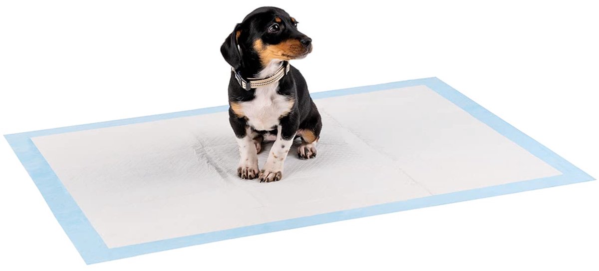 lionto Puppy pads, 6-laags trainingspads voor honden met kleefstrips, 50 stuks van 60x90 cm, lekvrij en duurzaam - ShopVlot