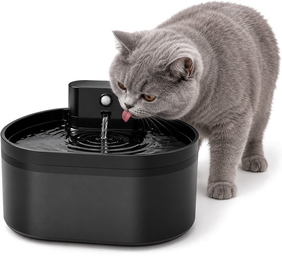 Grijze Britse Korthaar kat drinkt uit een strakke, zwarte, draadloze drinkfontein.