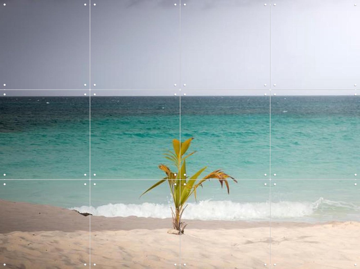 IXXI Lonely Palm On Quiet Tropical Beach, Claire Droppert - 80 x 60 cm - Grote wanddecoratie en posters - Fotografie, Strandhuis, Woonkamer, Gang Beige / Groen / Blauw
