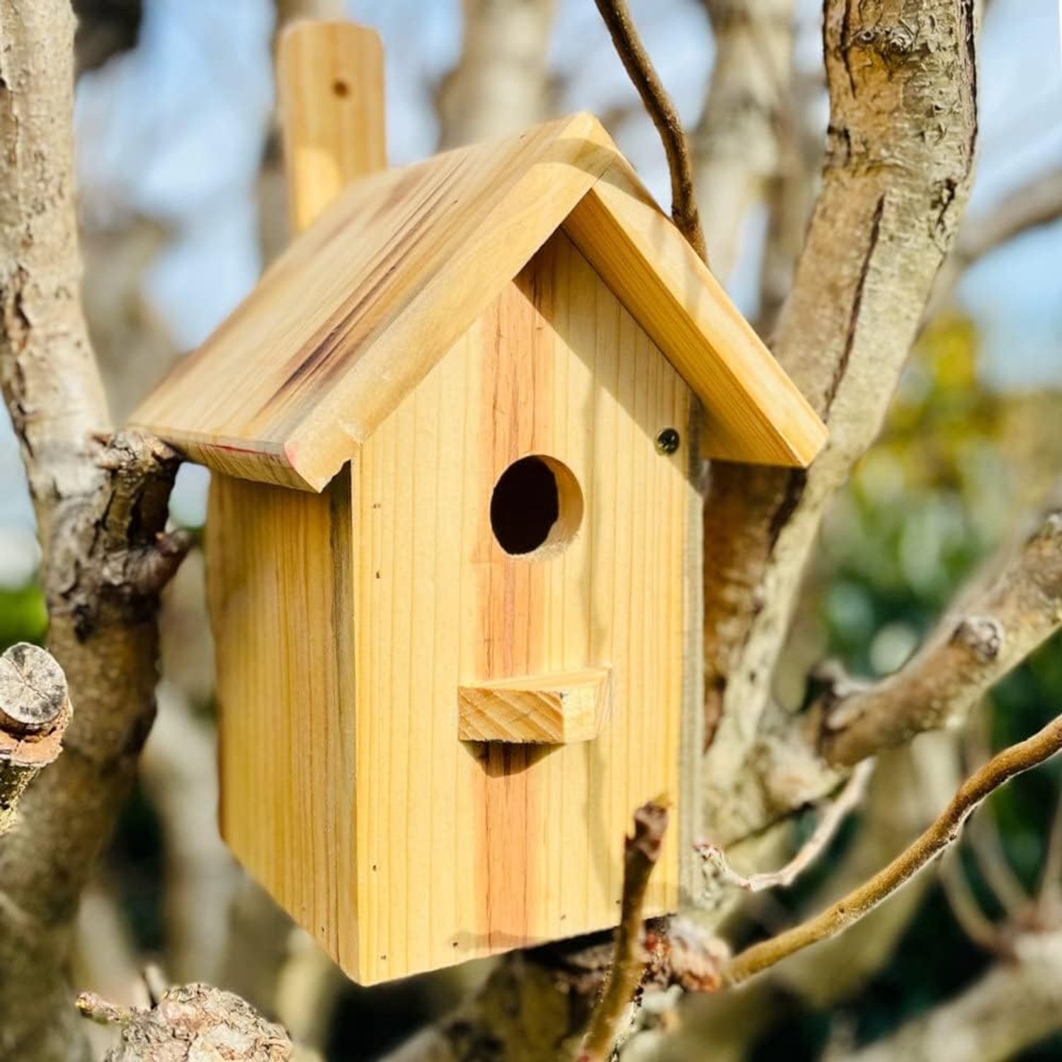 Nestkast voor kleine zangvogels - puntdak - onbehandeld hout - veilige broedplaats - m-winkel
