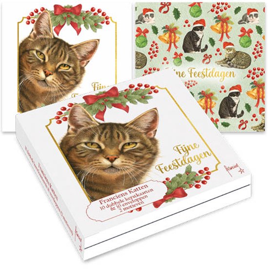 Doos met 10 Franciens Katten kerstkaarten, versierd met een cyperse kat, hulst, bessen en de tekst 'Fijne Feestdagen'.