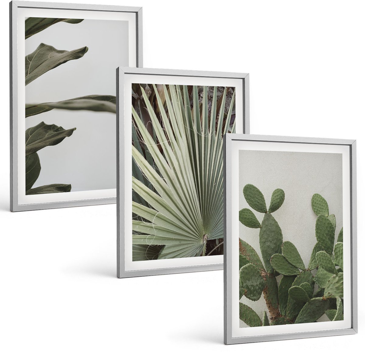 Coloray 3-Delige Schilderij Set - Bladeren Van Tropische Planten In Pastelkleuren - 40 x 60 cm - Wanddecoratie - Moderne Interieurdecoratie - Decoratieve Schilderijen