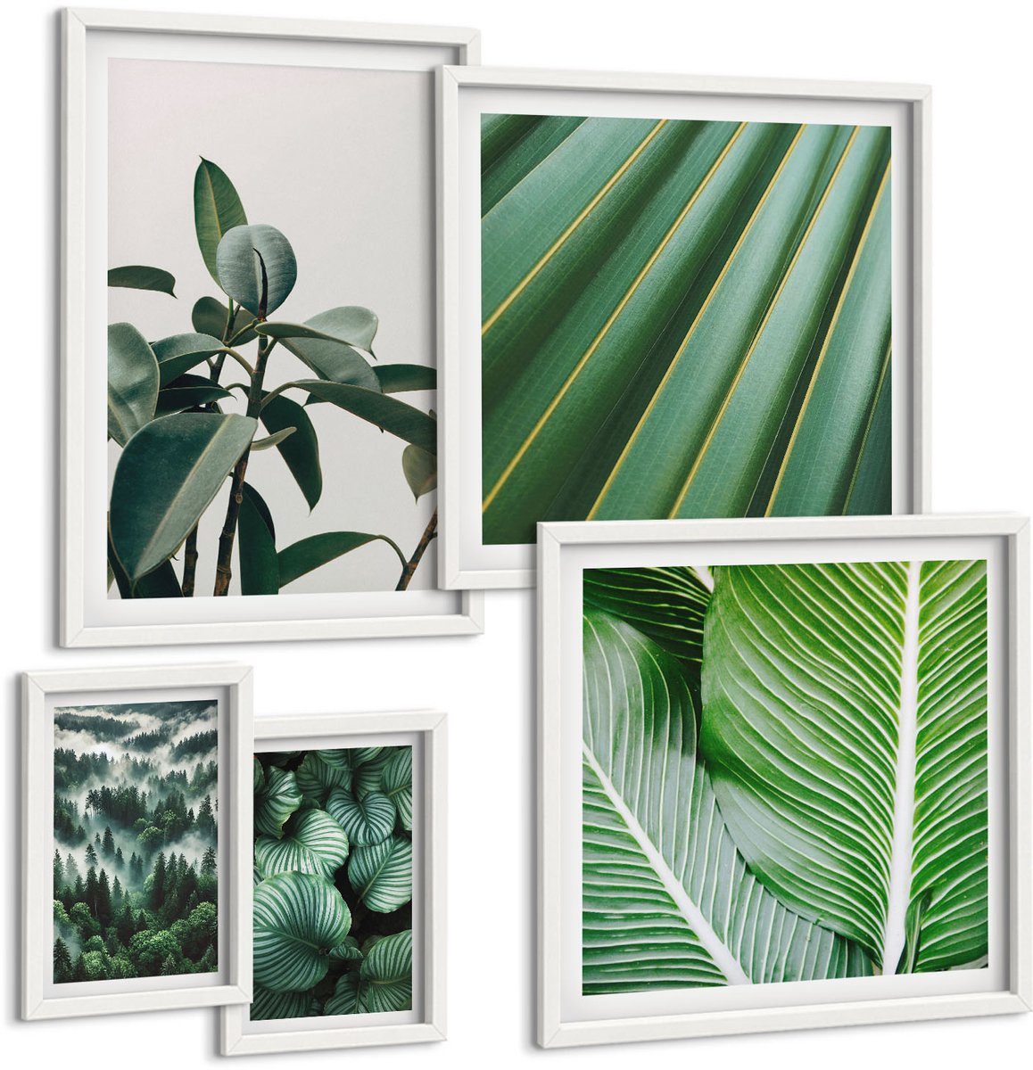Coloray 5-Delige Schilderij Set - Planteninspiratie In Tropische En Natuurlijke Stijl - 50 x 50 cm, 20 x 30 cm En 40 x 60 cm - Muurdecoratie - Decoratieve Schilderijen - Wohnzimmer - Moderne Wanddecoratie Witte lijst