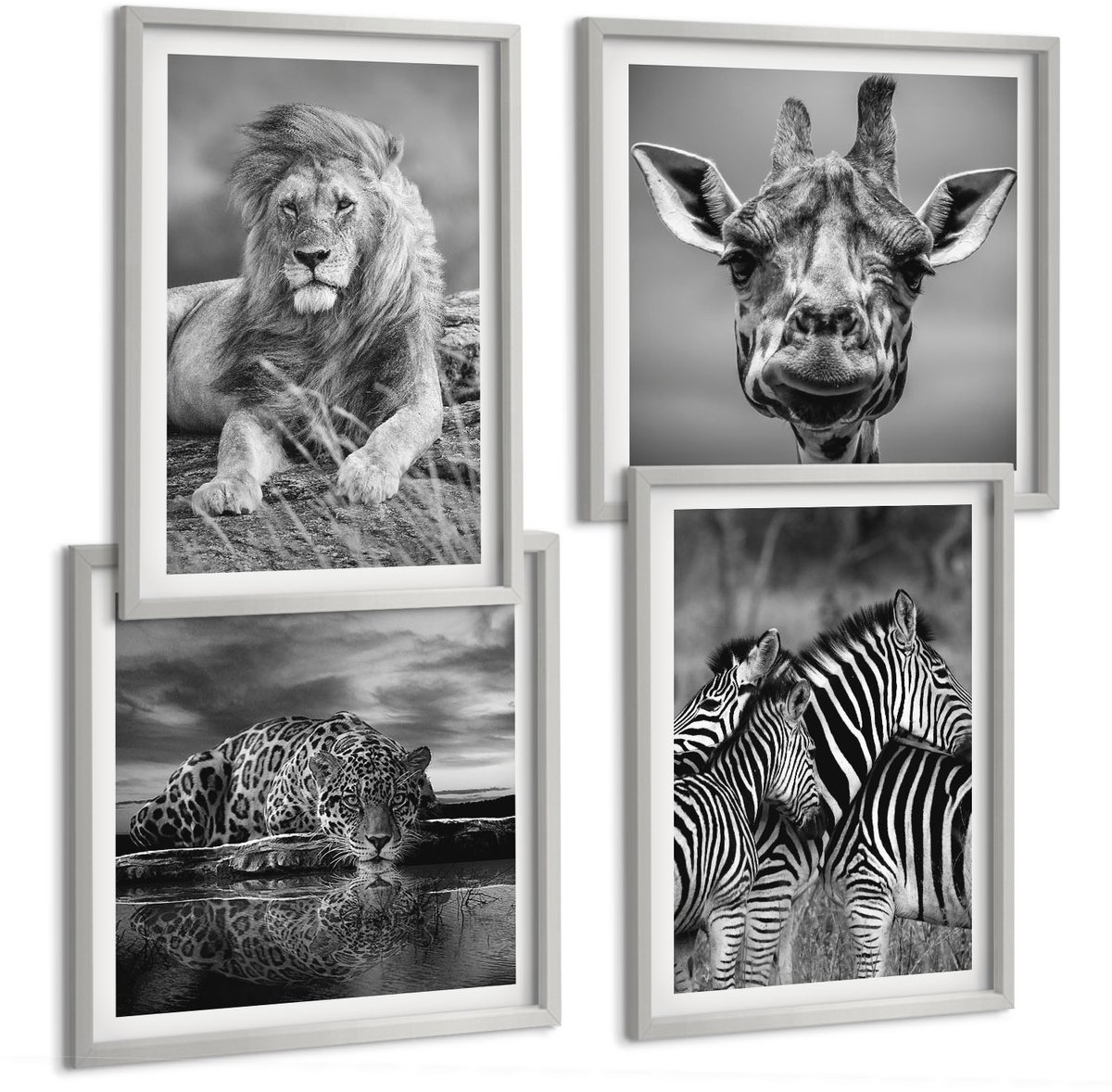 Coloray 4-Delige Schilderij Set - Wilde Dieren: Leeuw, Jaguar, Giraffe En Zebra'S - 40 x 40 cm En 40 x 60 cm - Decoratieve Schilderijen - Woonkamer - Interieur - Wanddecoratie