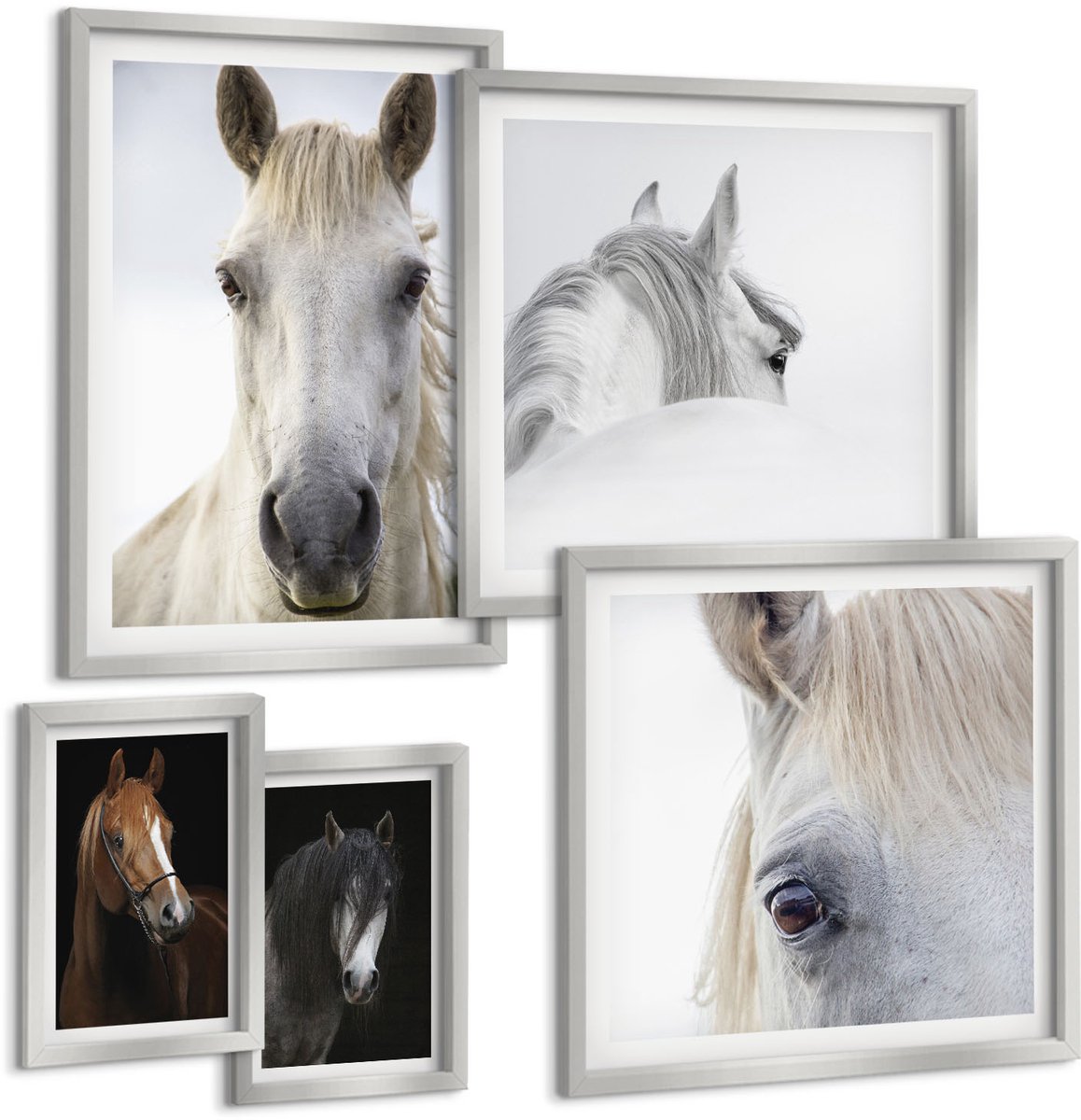 Coloray 5-Delige Schilderij Set - Portretten Van Paarden In Verschillende Vachtkleuren - 20 x 30 cm - Muurdecoratie - Wanddecoratie - Hal