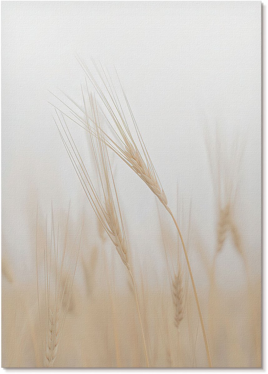 Tulup Polycanvas Wandposter - Elegant Portret, Fotografie - A3 - Zwart-wit Patroon - Rechthoek - Canvasposter - Woonkamer, Slaapkamer, Kantoor - Klassiek