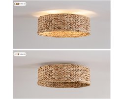 Plafondventilator met Verlichting 50x50x20 cm – Ventilatorlamp met LED-Verlichting – Minimalistisch – Rotan – Voor Slaapkamer – Koper