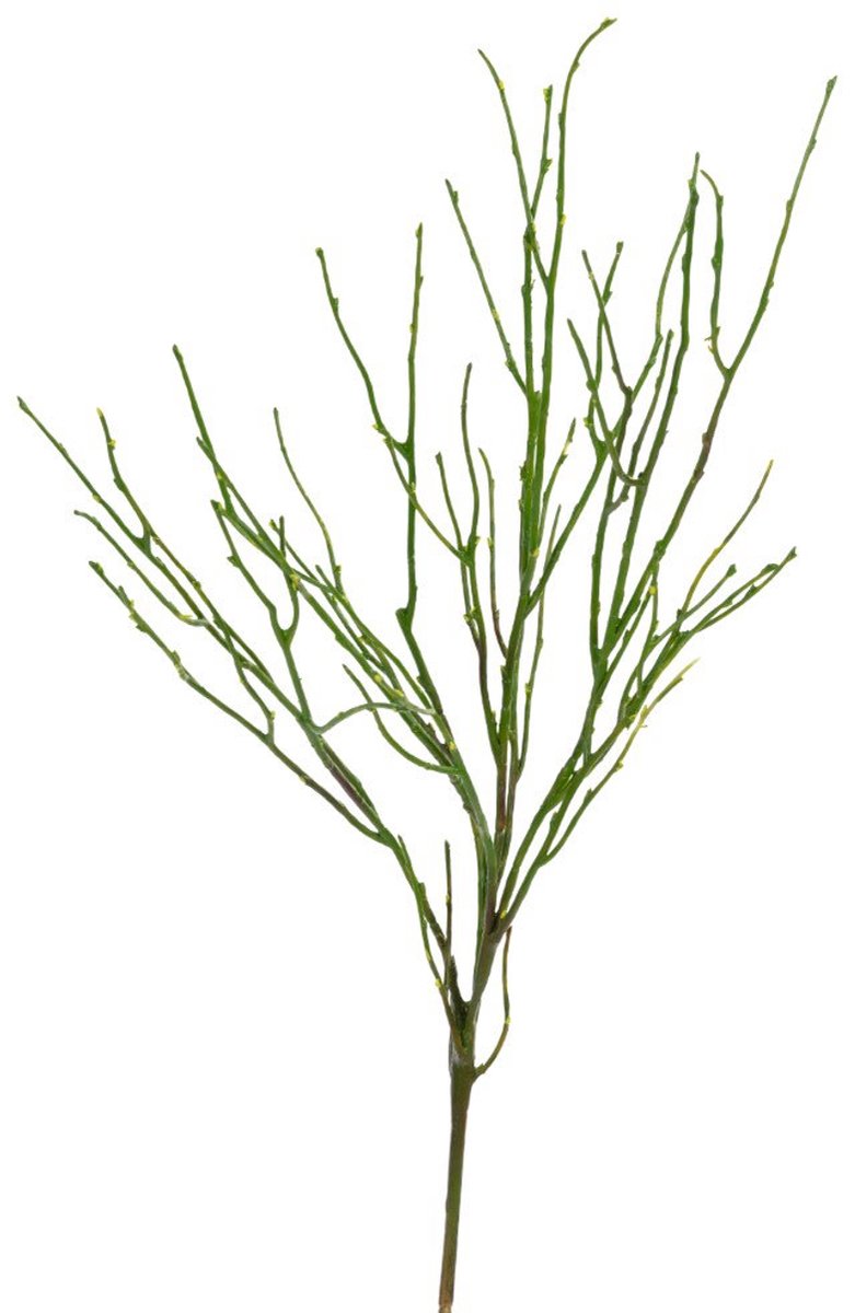 Takje l77 cm groen kunstbloemen Louis Maes