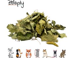 Zooply Berkenblad - Kruiden & Snacks - 100% natuurlijk - Voor konijnen & cavia's - 350 gram
