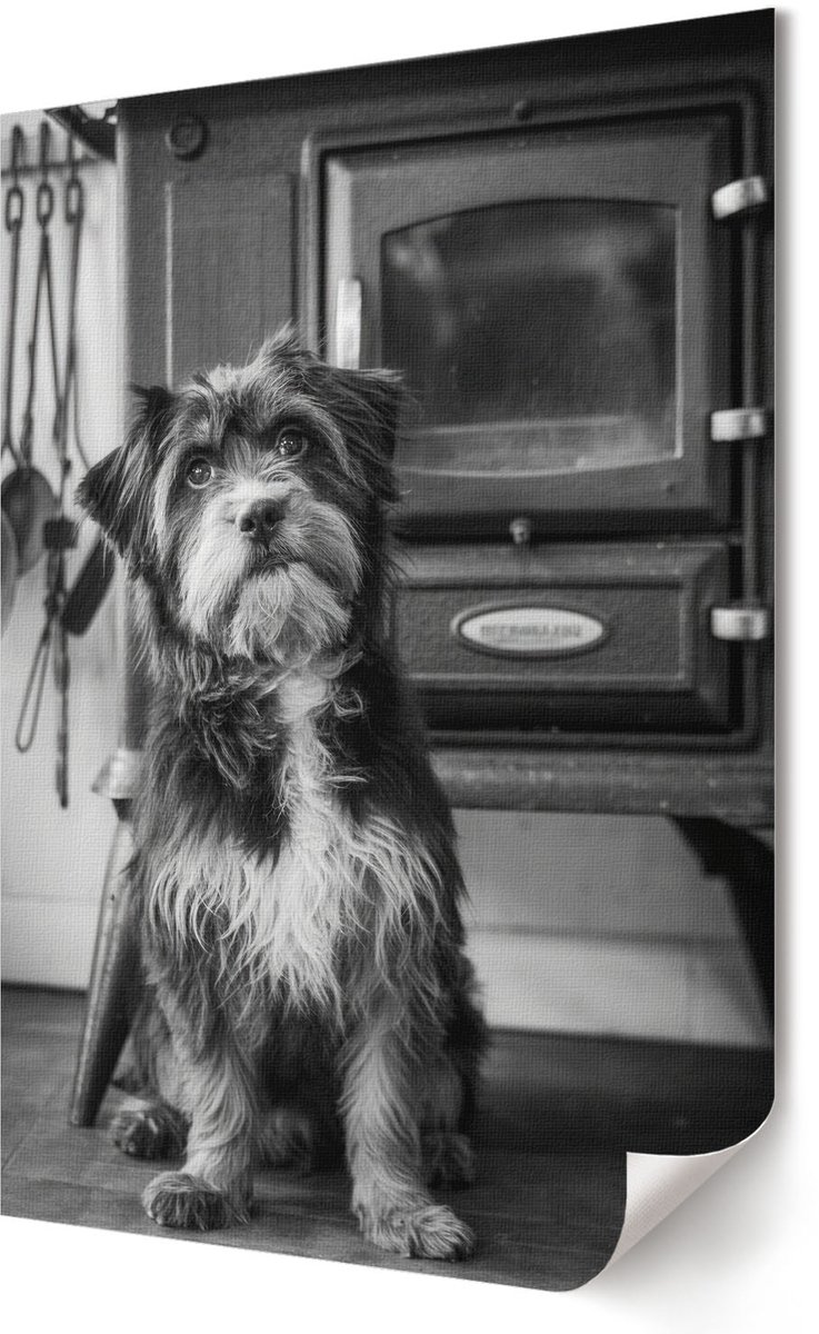 Coloray Polycanvas Wandposter - Retro Hond, Fotografie - 420 x 594 - Zwart-wit Design - Rechthoek - Canvasposter - Woonkamer, Slaapkamer, Kantoor - Rustiek