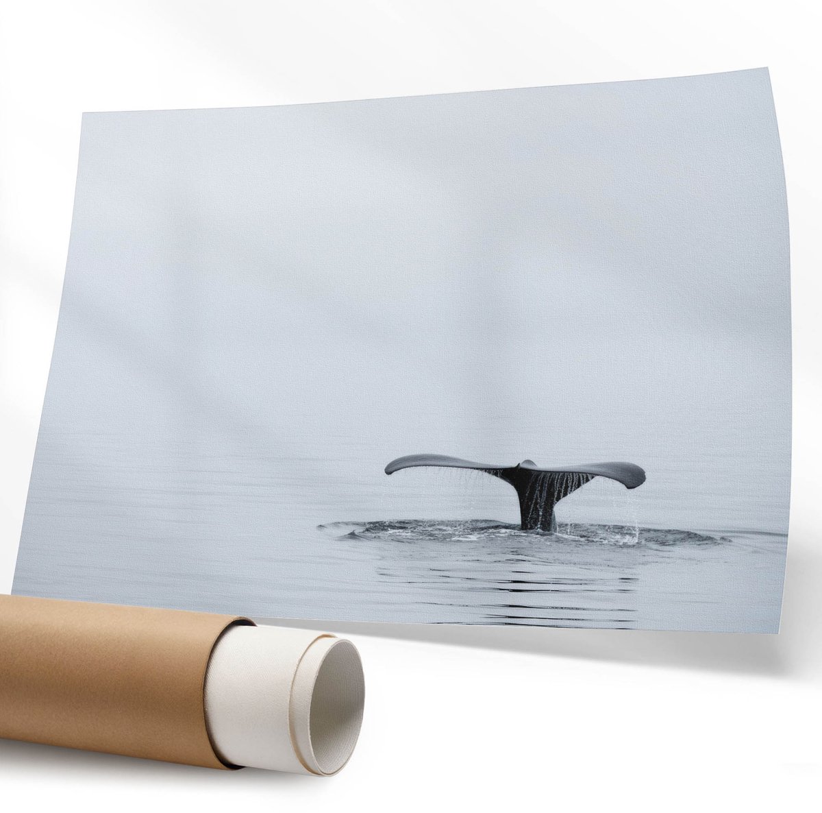 Coloray Polycanvas Poster - Luchtacrobatiek, Fotografie - 594 x 840 mm - Grijs Wandposter - Rechthoek - Muurdecoratie - Woonkamer - Modern