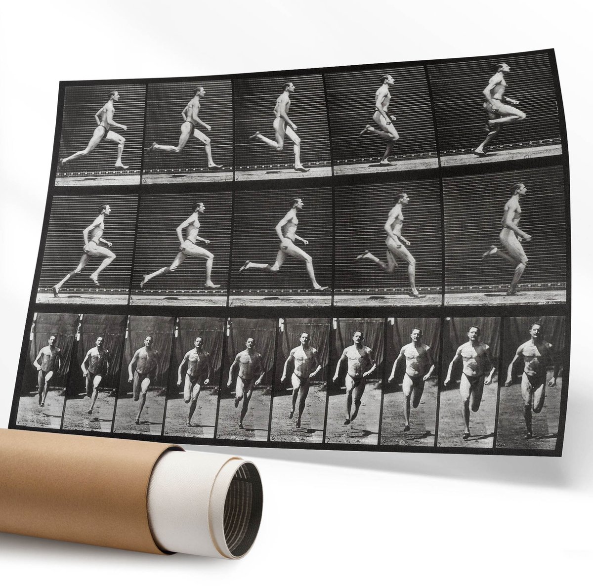 Coloray Polycanvas Wandposter – Dierlijke Voortbeweging, Zwart – A1 – Zwart Illustratie – Rechthoek – Canvas Wandposter – Woonkamer – Klassiek