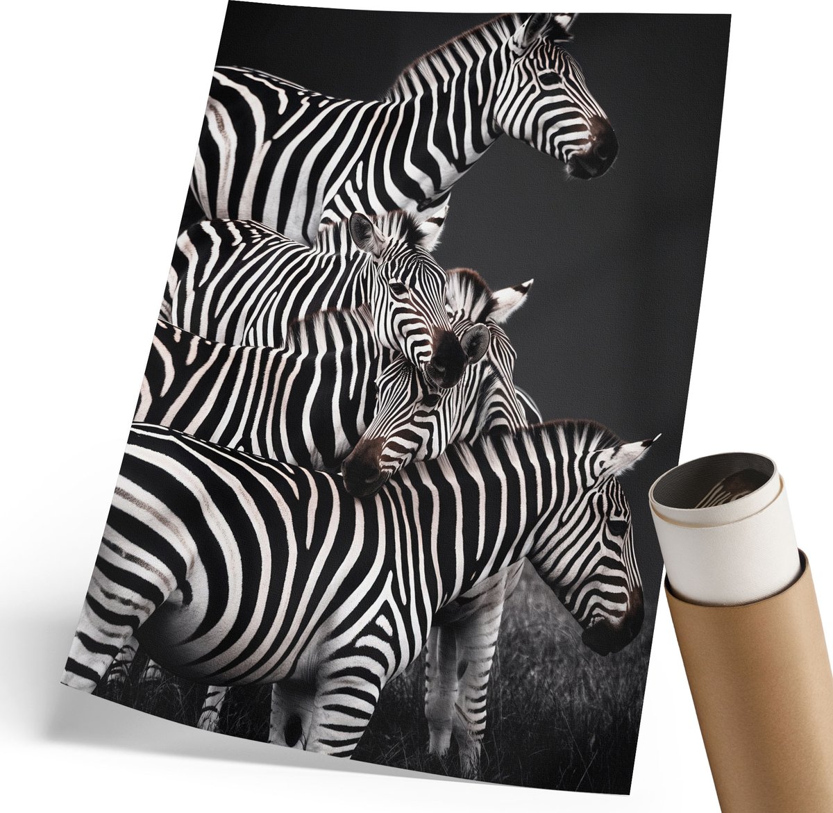 Coloray Polycanvas Poster - Zebrasafari, Fotografie - 210 x 297 mm - Zwart-wit Wanddecoratie - Rechthoek - Decoratieve poster - Woonkamer, Slaapkamer, Kantoor - Modern