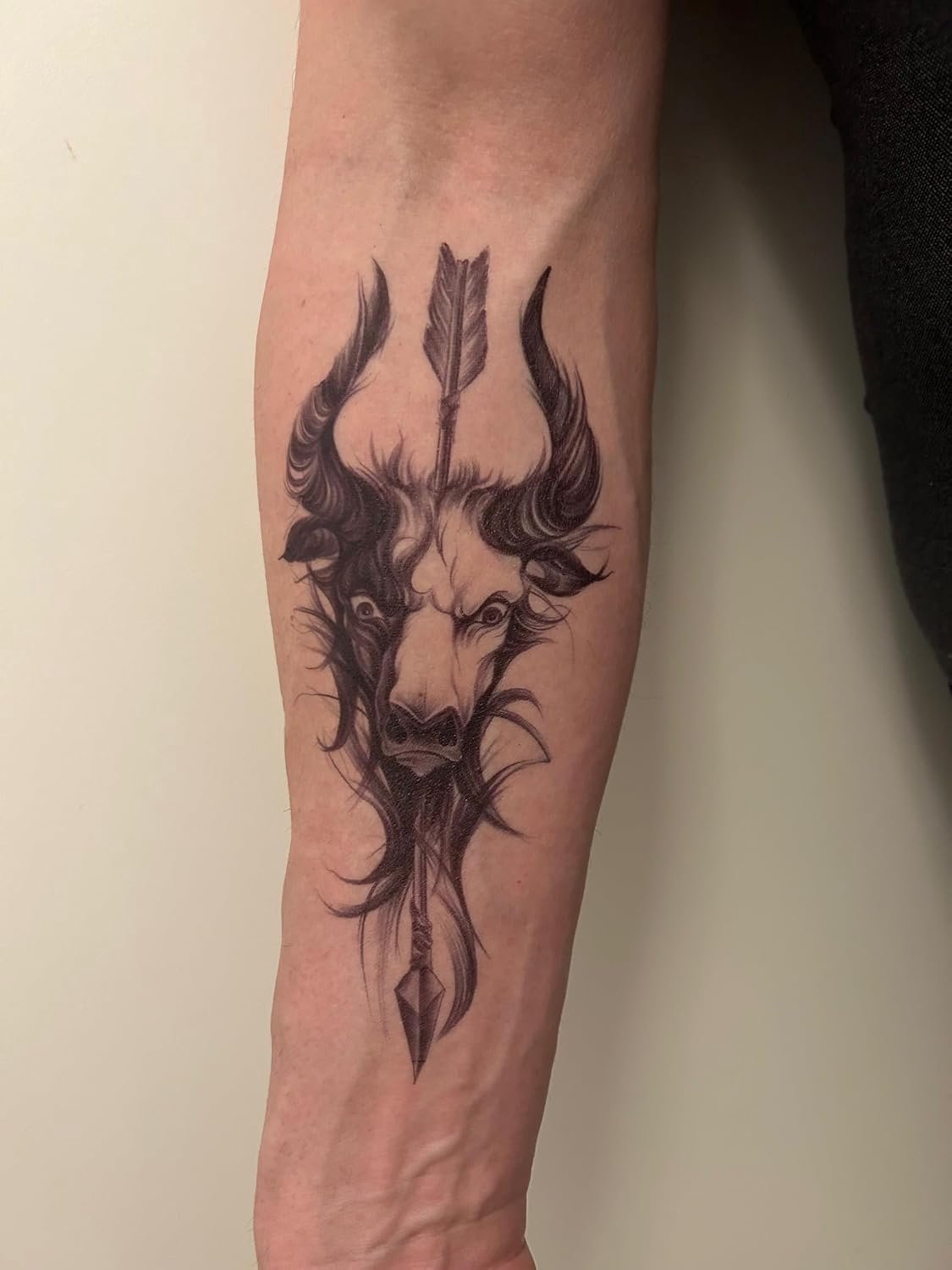 Tijdelijke stier-tattoo, stierenkop, tattoo, pijl, tattoo, XQB862 x 2