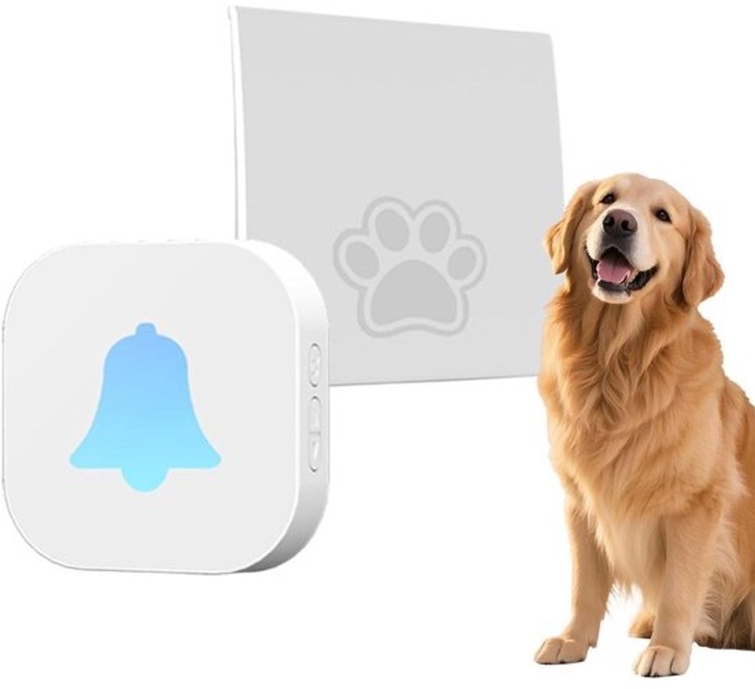 Elektrische hondenbel - Zindelijkheidsbel voor honden - Communicatie met huisdieren - Weerbestendige knop - 6.9x3.9x1.3 cm - Wit
