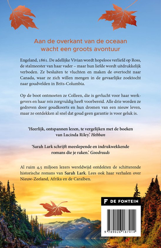 Achterzijde boek Dans van de bladeren met synopsistekst, herfstbladeren, een bosrijk berglandschap en een zonsondergang.