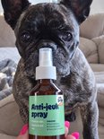 Pure Bob Anti-jeuk spray vastgehouden door hand met roze nagellak, met een hond op de achtergrond.