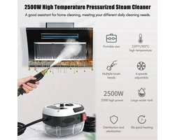 Stoomreiniger - 2500W - Draagbare - Hogedrukreiniger - Hete Stoom - Hoge Temperatuur Desinfectie - Voor Auto - Keuken - Airco en Thuisgebruik - Wit