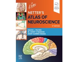 Netter Basic Science - Netter's Atlas of Neuroscience - E-Book