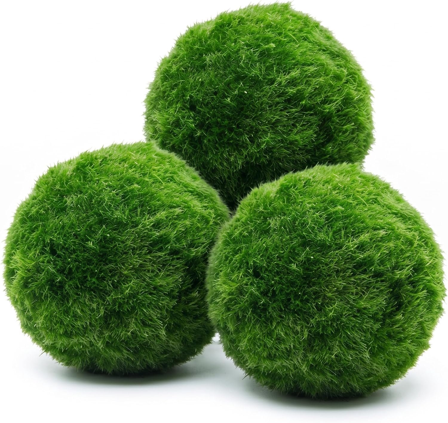 Aquarium Mos 3pcs Live Marimo Mosballen Aquarium Decoratieve bal voor Tank Landscaping Groen.