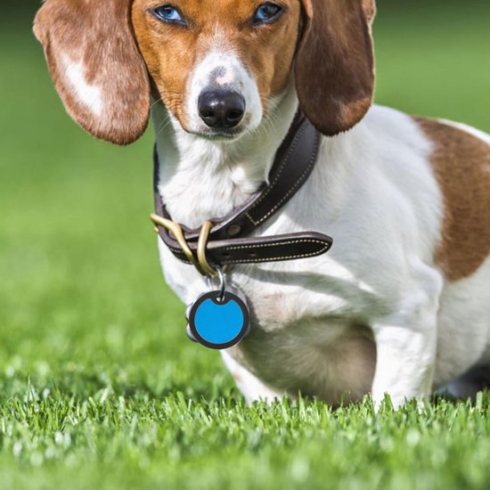 8stuks Zwarte Silicone Dog Id Tag Silencers Geluidsreducerende Bescherming Voor Hondenhalsbanden Duurzame Rubber Beschermers Voor Huisdieren Met Eenvoudige Toepassing — afbeelding 4
