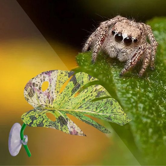 Reptiel Springspin Realistisch Bladvorm Decoratie Met Zuignap — afbeelding 4