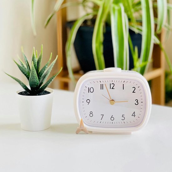 5 Stuks Delige Authentieke Fossiele Haaientand Set Ruwe Mariene Diertand Wetenschappelijke Educatie Specimen Retro Oceaandecor voor Thuis Kantoor — afbeelding 2