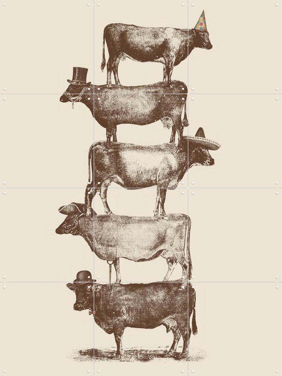IXXI Cow Cow Nuts, Florent Bodart - 60 x 80 cm - Gratis ophangtool - Grote wanddecoratie en posters - Klassiek, Illustraties, Speels, Vintage