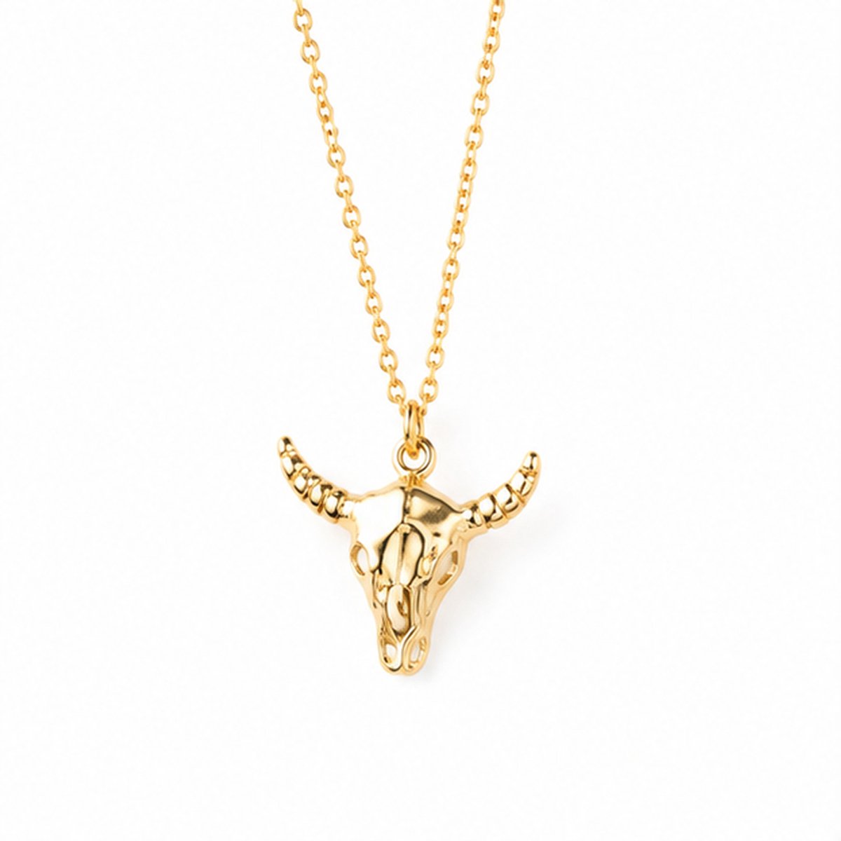 Deja Jewels - Dames ketting met hanger - Goudkleurig edelstaal