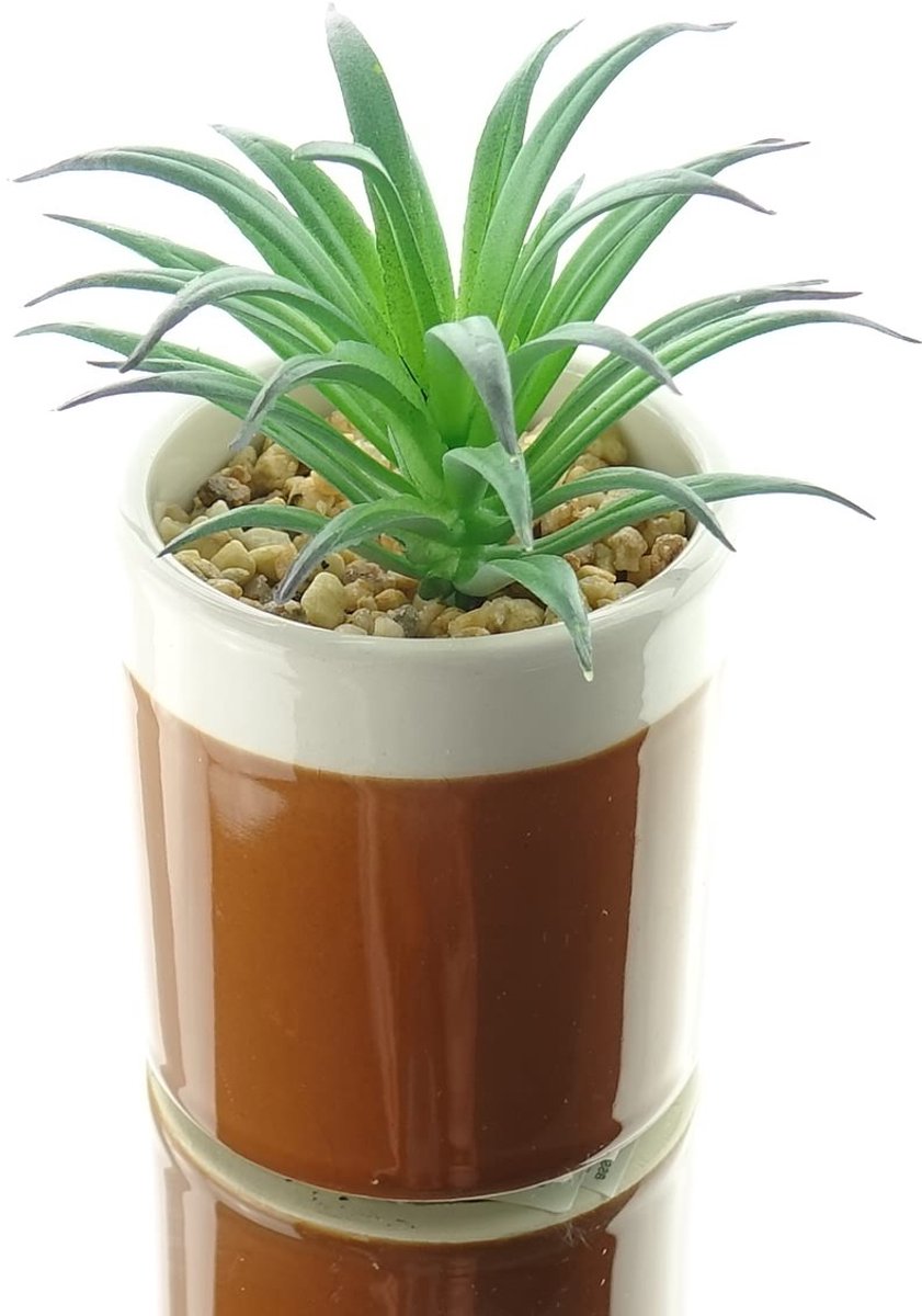 Kaemingk mini-succulent bruin stenen pot hoogte 11 cm - kunstplanten