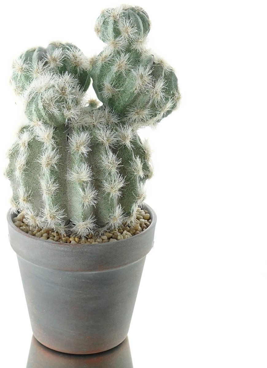 DPI bol-cactus in bruin-washed pot - kunstplant