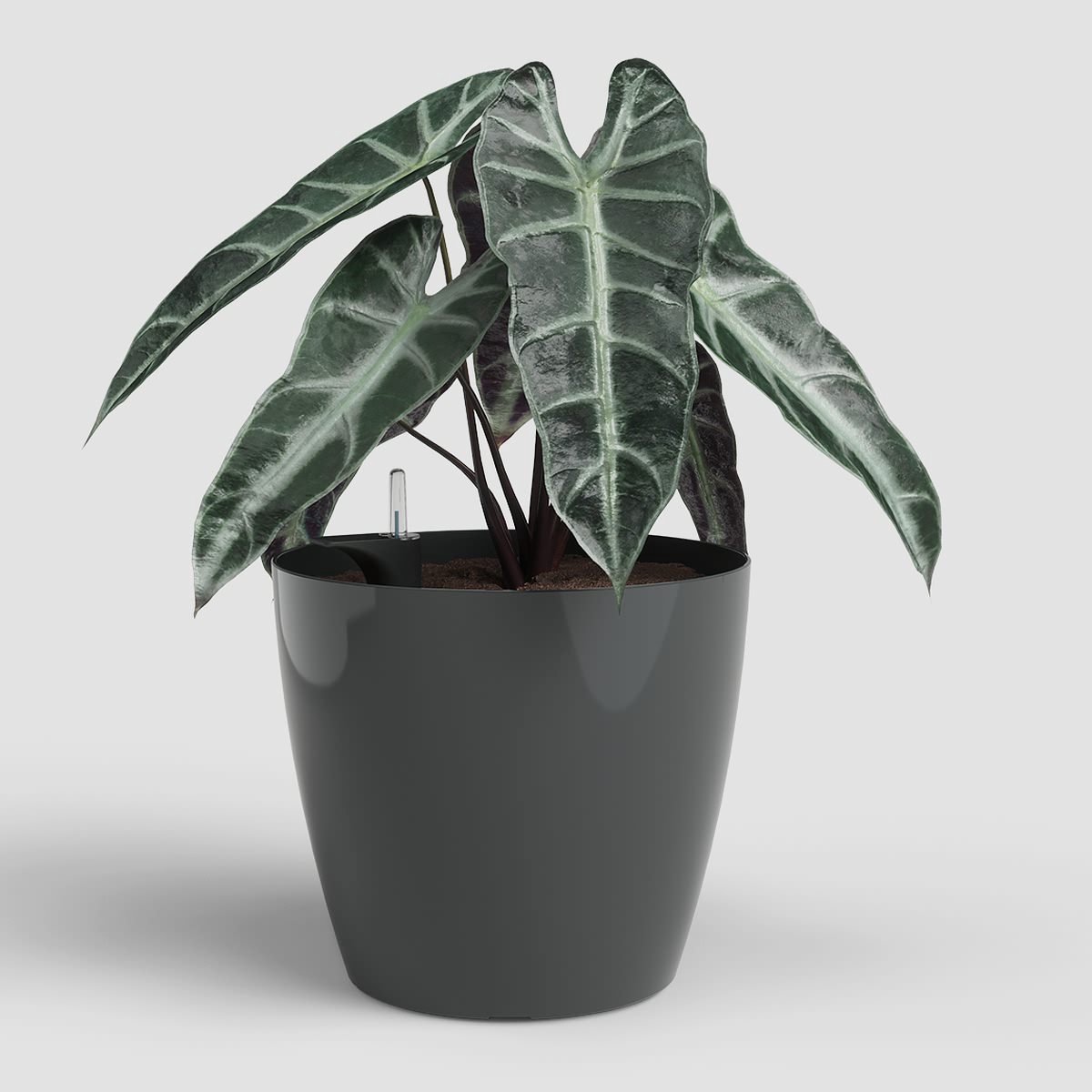 ARTEVASI – San Remo SWS 42 – Zelfwaterende plantenpot – Anthraciet