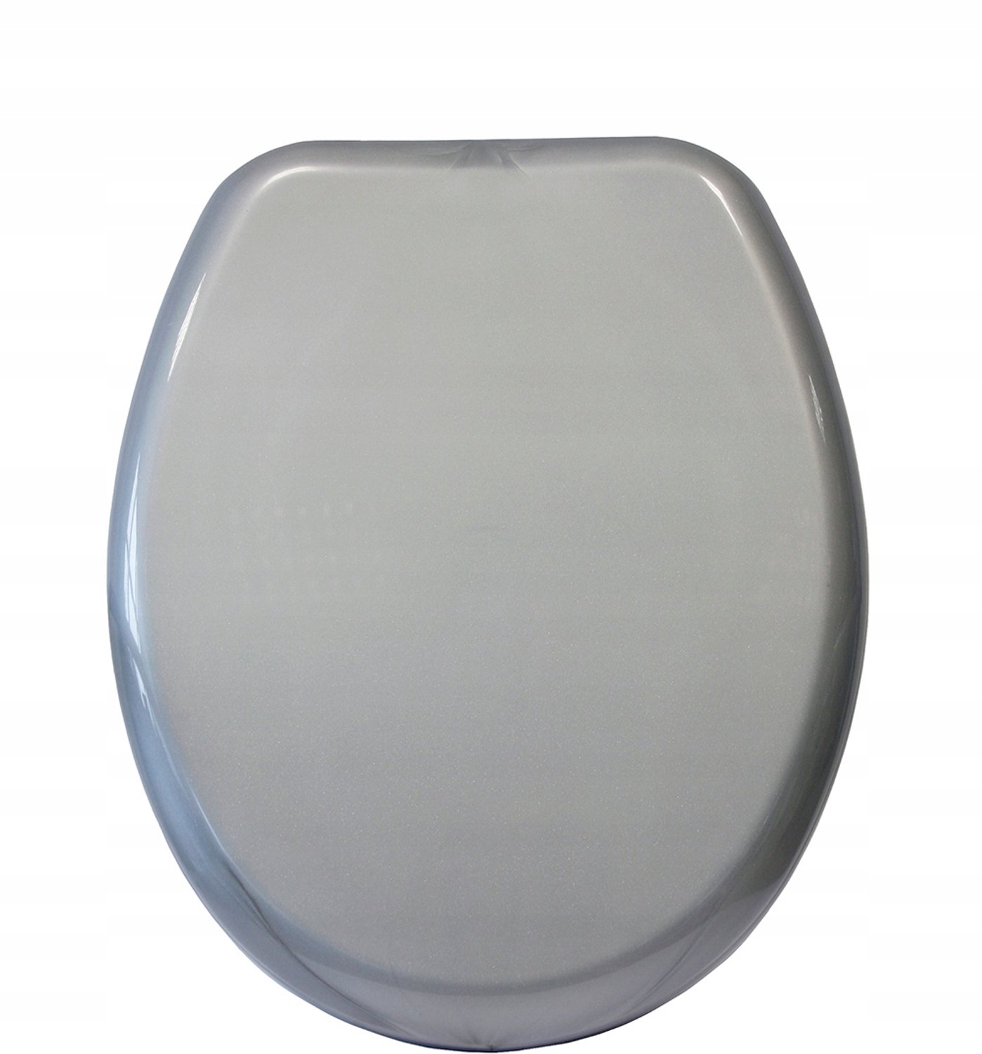 Bisk Iris Toiletbril - Metaalkleurig Polypropyleen, Eenvoudige Reiniging