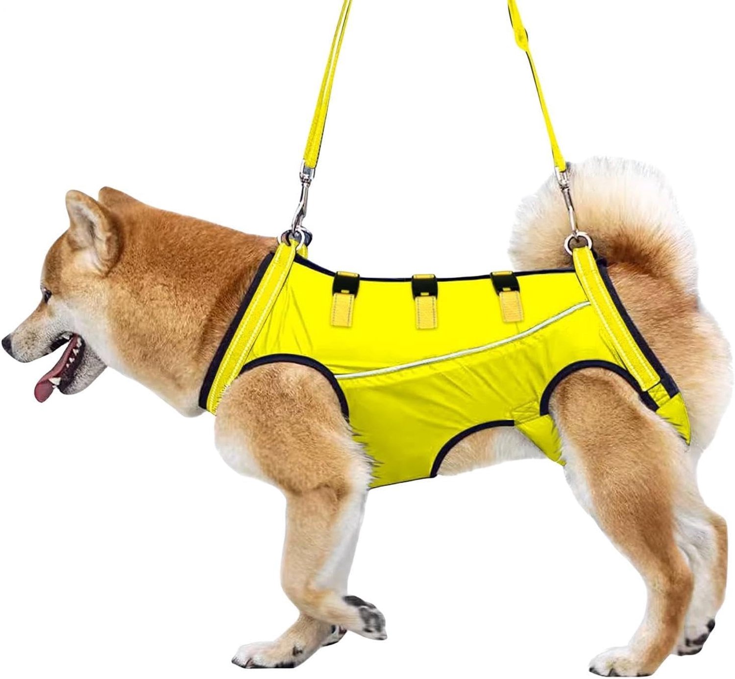 Hondentuigje Feestaccessoires voor honden,