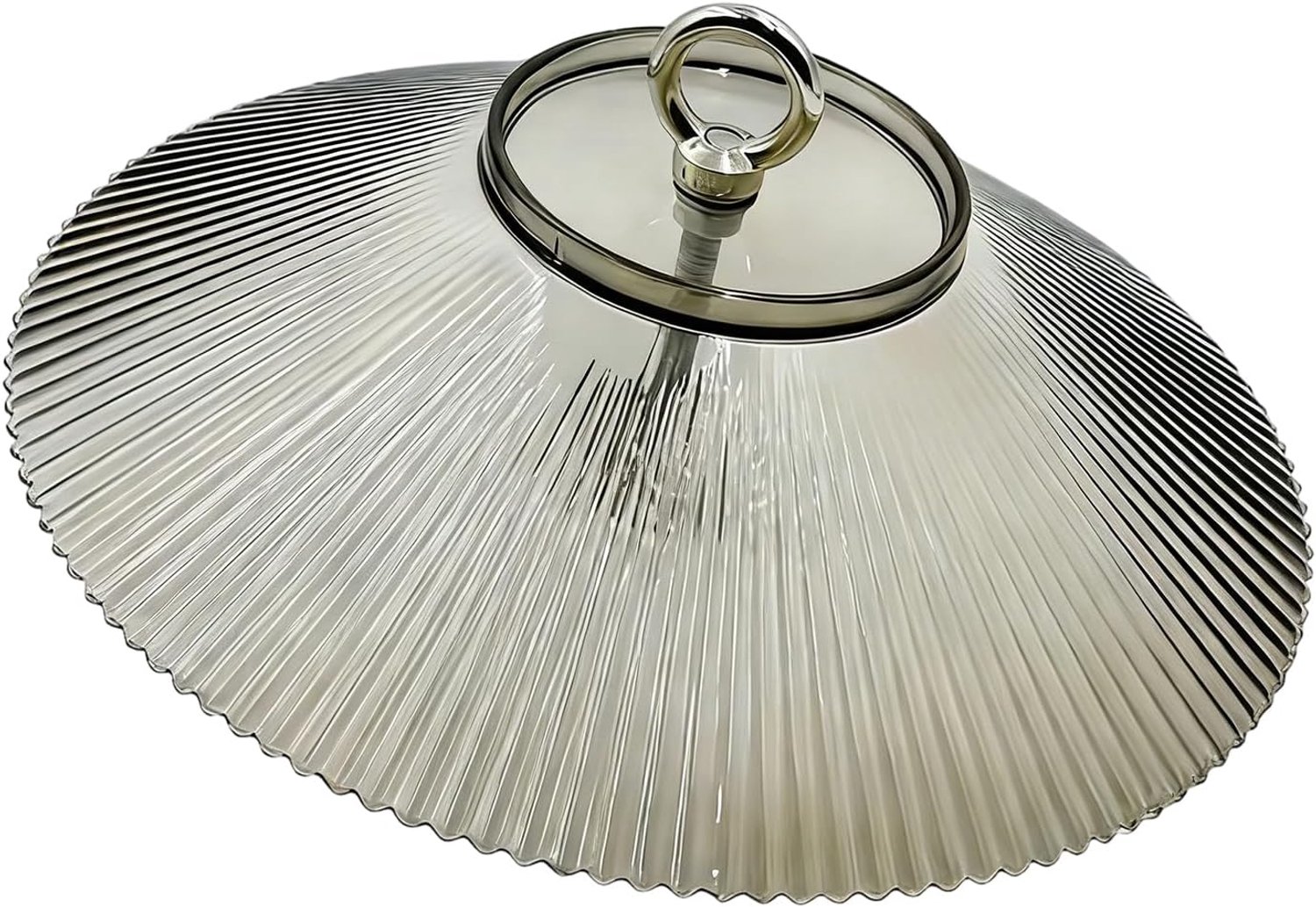 Baffle voor Vogelvoeder | Buitendecoratie Met Dekking - Tuin Eekhoornafweer - Voor Tuin En Buitenliefhebbers Van Dieren Binnenshuis En Buiten