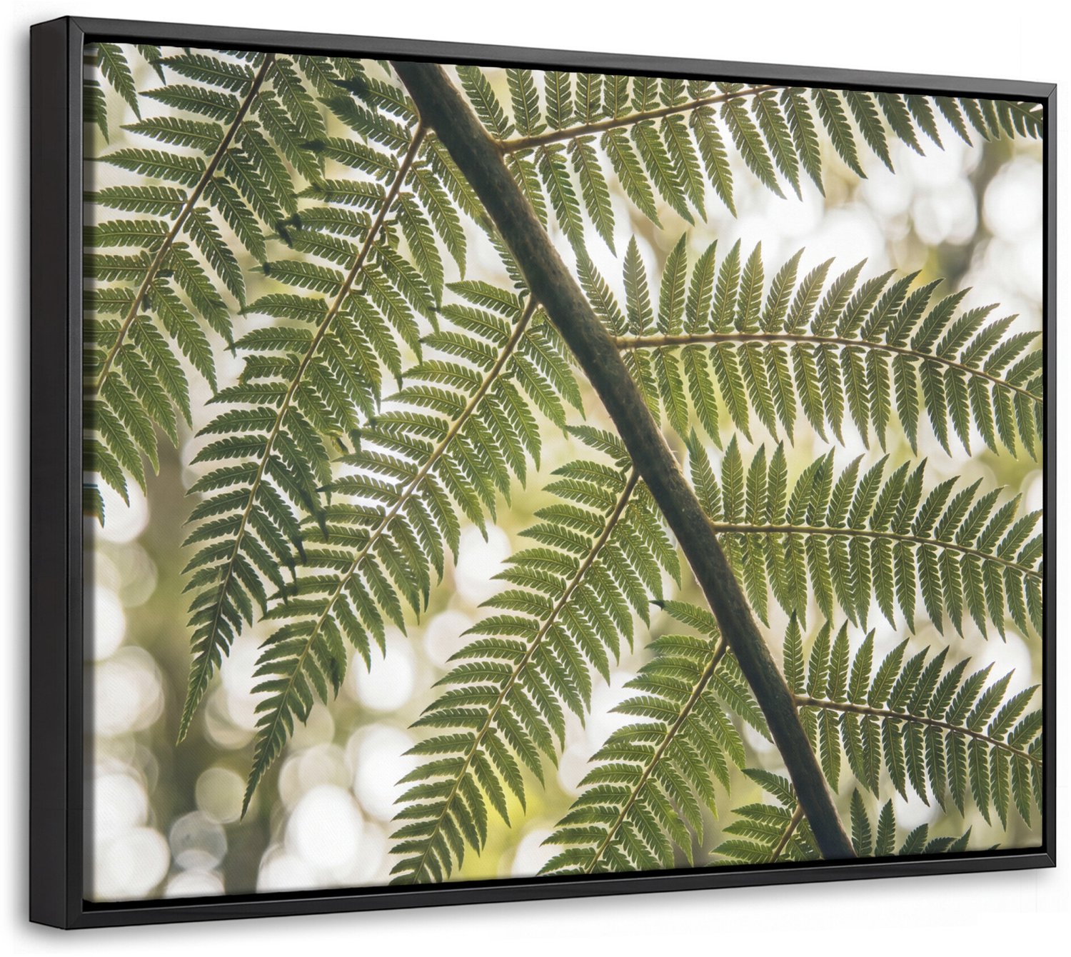 Canvas Schilderij met Baklijst - Plant - Blad - Natuur - Groen - Detail