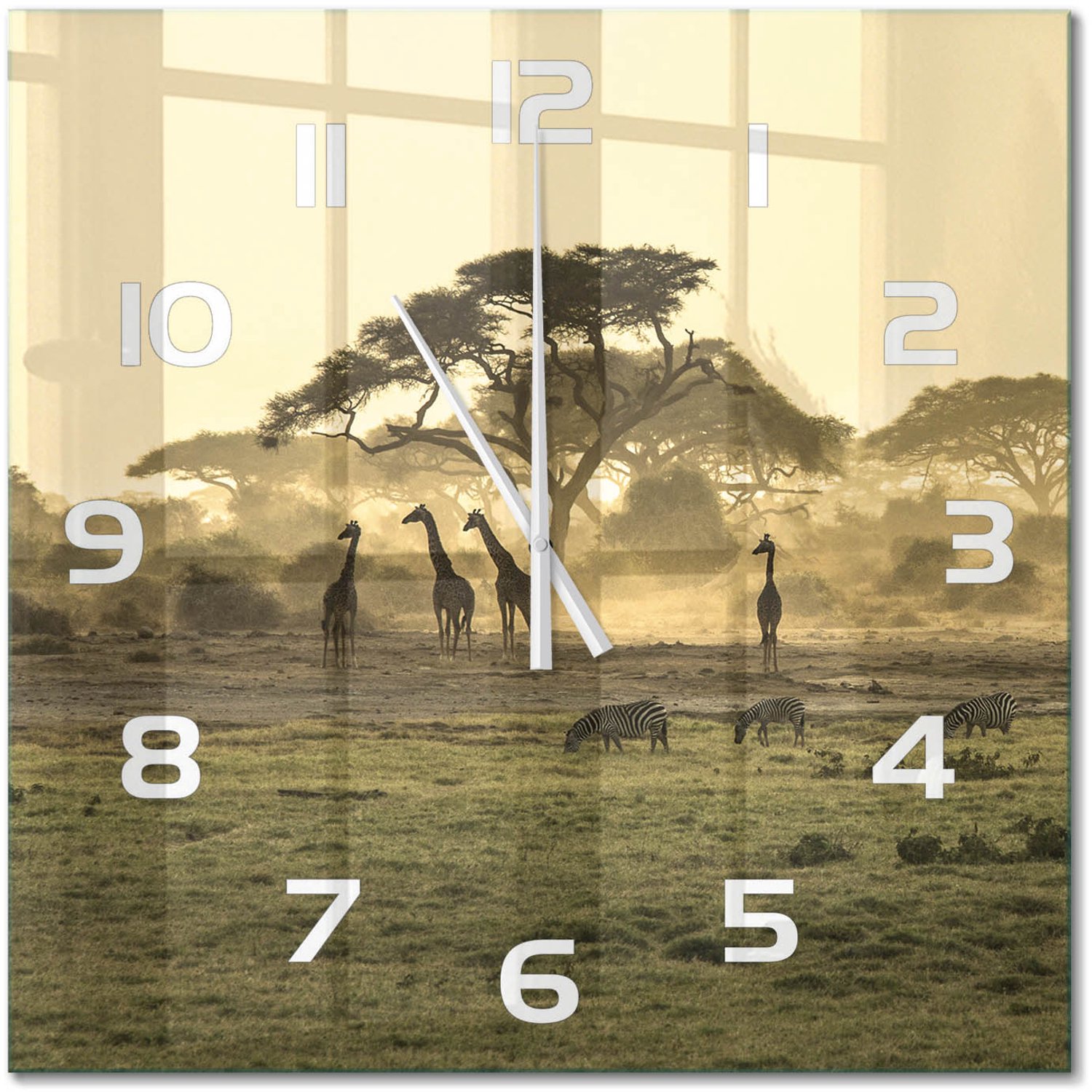 TULUP Wandklok - Giraffen in de savanne Gekleurde Glazen Klok - 60x60 cm - Beige Glazen Klok Met Print - Witte handen - Vierkante Klok - Moderne Wandklok Glas - Wandklok Glas Decoratie