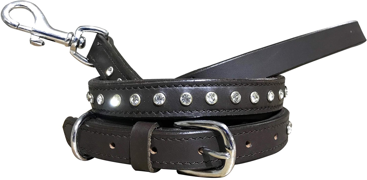 Leren Hondenhalsband en Ceintuur Set voor Stellen