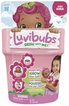 Verpakking van de "Kira" Luvibubs speelset, met roze pot, pop en illustraties van het groeiproces.