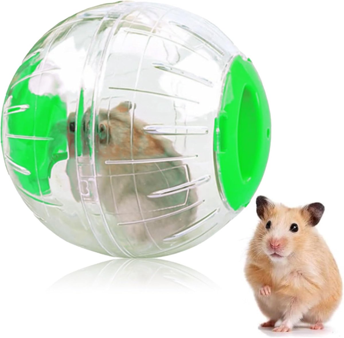 Hamster loopbal, hamster gymnastiekbal, hamsterbal, hamsterbal, hamster sportbal, voor hamsters en muizen, beweging, knaagdierspeelgoed voor hardlopen