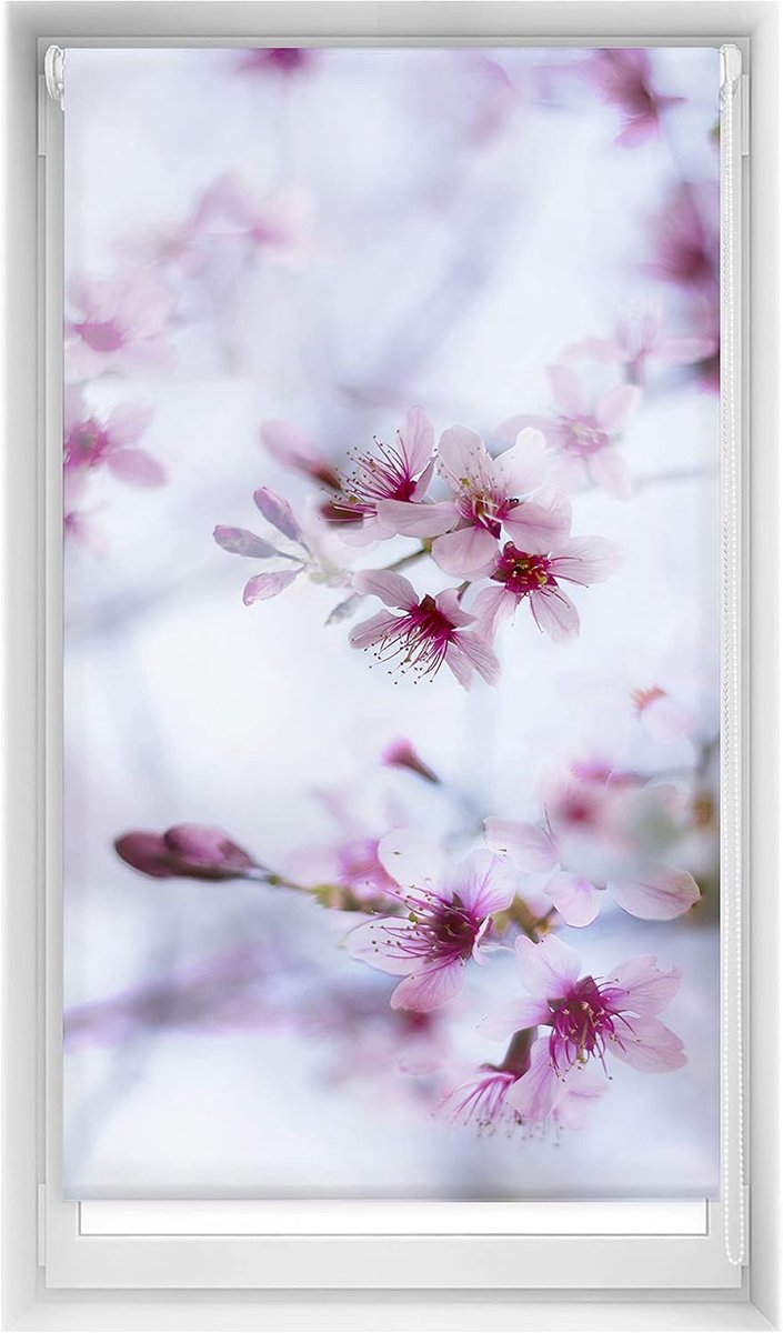 Easy jaloezie zonder boren, bedrukt, lichtdoorlatend, digitale druk, Calma, 85 x 150 cm (breedte x hoogte), stofmaat 82 x 145 cm
